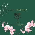 Matcha Yame 100 g